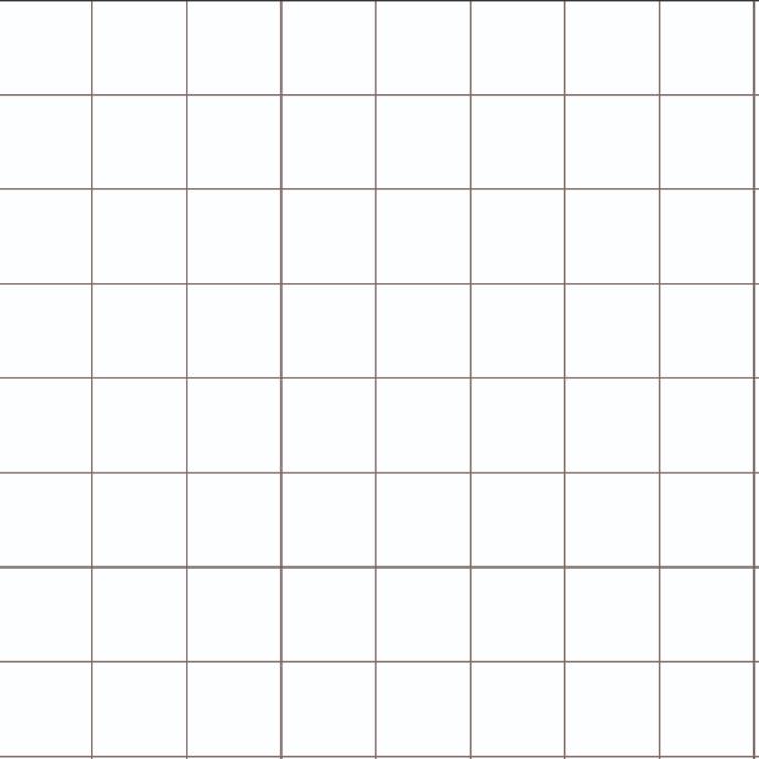 quadretti quadernotto 5mm per disgrafici con retino - scuola senza zaino Visione dei quadretti 10mm del quadernotto - scuola senza zaino