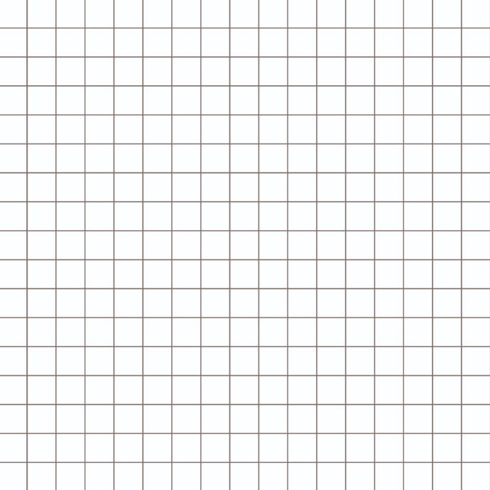 quadernotto quadretti 5mm scuola senza zaino Visione dei quadretti 10mm del quadernotto - scuola senza zaino