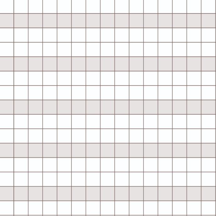 disgrafia-quadretti 5mm quadernotto per digrafici - scuole senza zaino Visione dei quadretti 5mm per disgrafia del quadernotto - scuola senza zaino